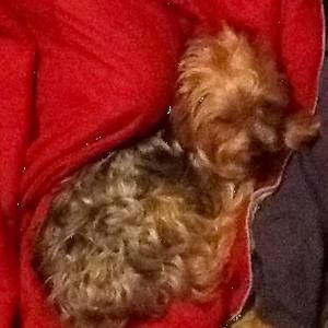 Meet your Posher, Fiona